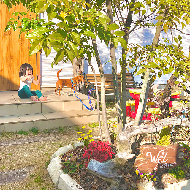 Yukoさんの実例写真