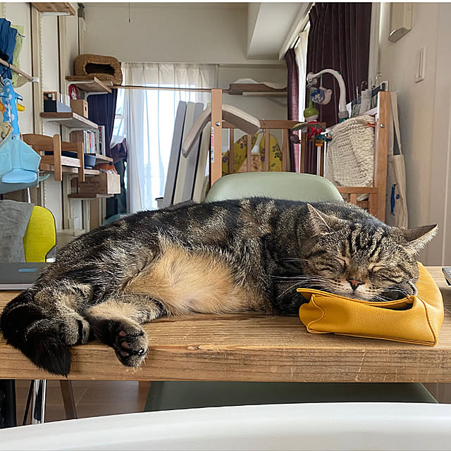 mikomaruさんの実例写真
