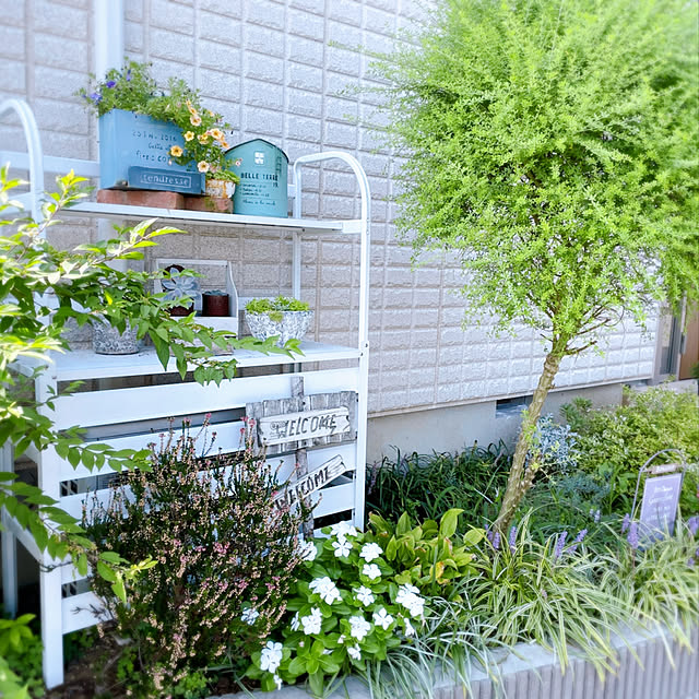 k.k.kinokoさんの実例写真
