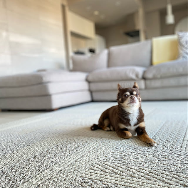 M.H.Lさんの実例写真