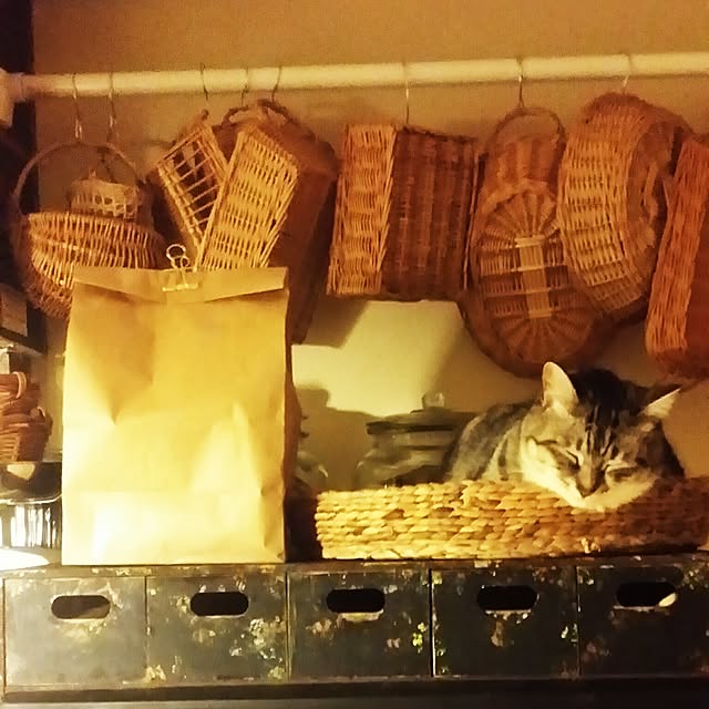 annさんの実例写真