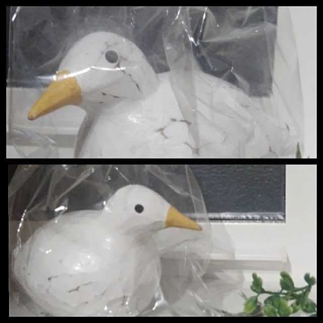 ctonaさんの実例写真