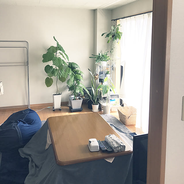 powakyonさんの実例写真
