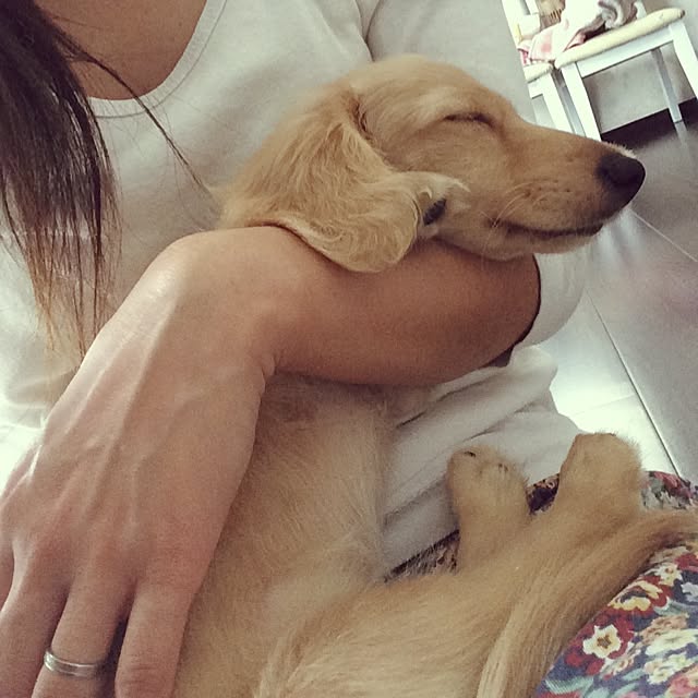 -Riley-mama.-さんの実例写真