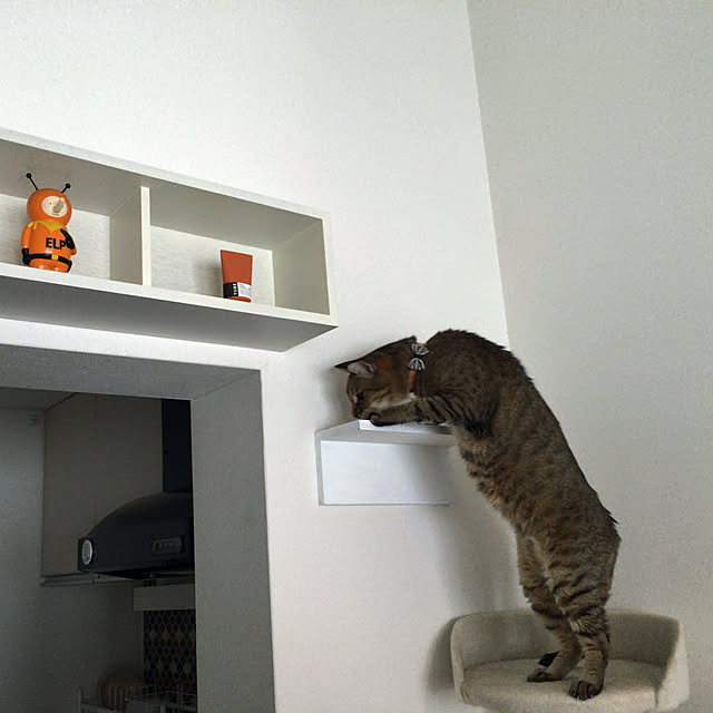 tokotokoさんの実例写真