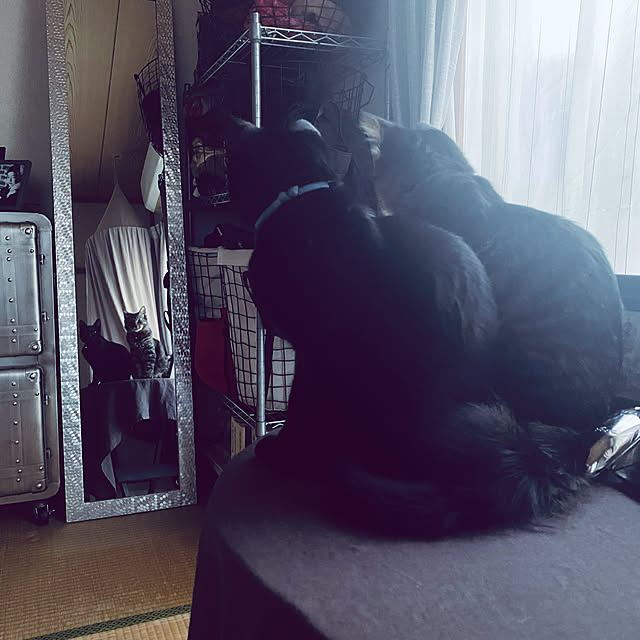 eregonさんの実例写真