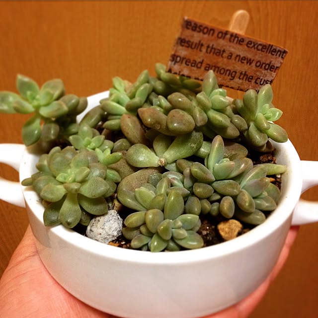 CHIROさんの実例写真