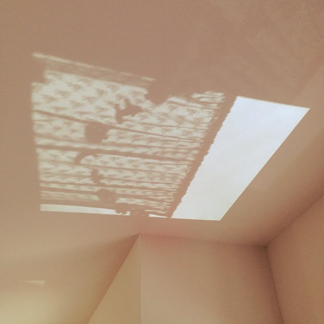 sacchanさんの実例写真