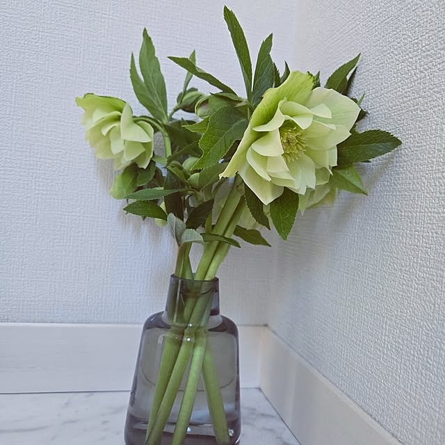 mutyukingさんの実例写真