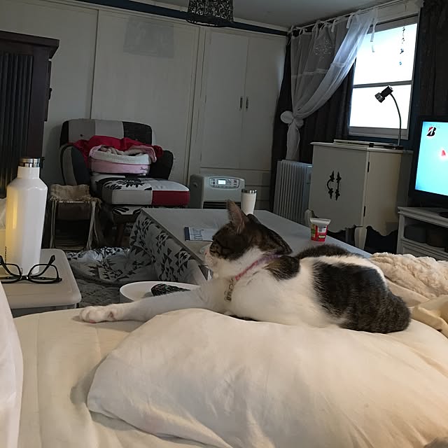 Shihoさんの実例写真
