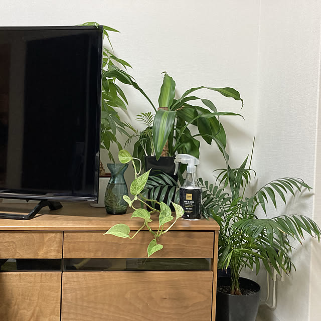 Misaさんの実例写真