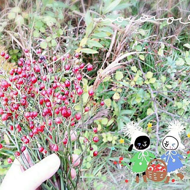 moco-mocoさんの実例写真