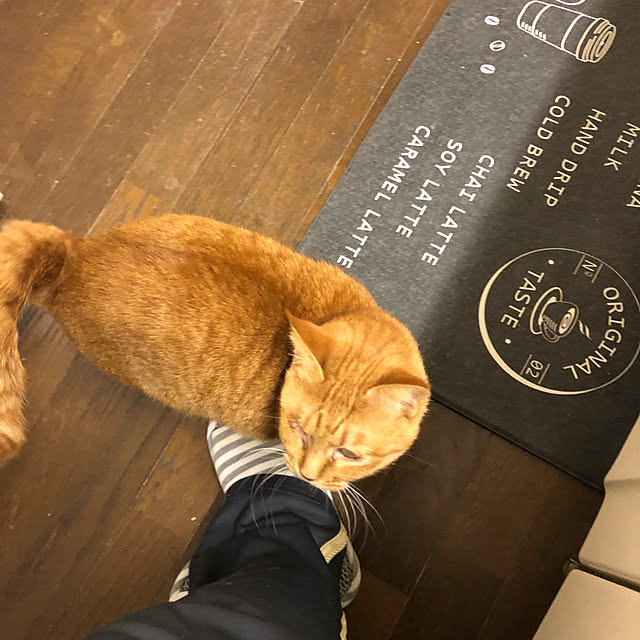 conatuさんの部屋