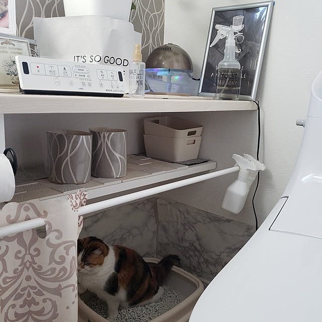 megu.catさんの実例写真