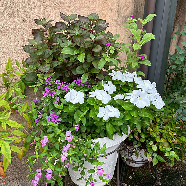 fumikoiさんの部屋