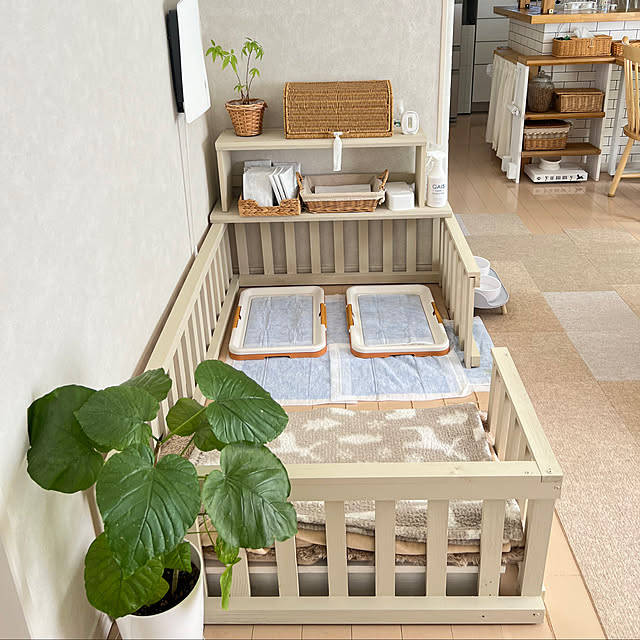 yumimaruさんの部屋