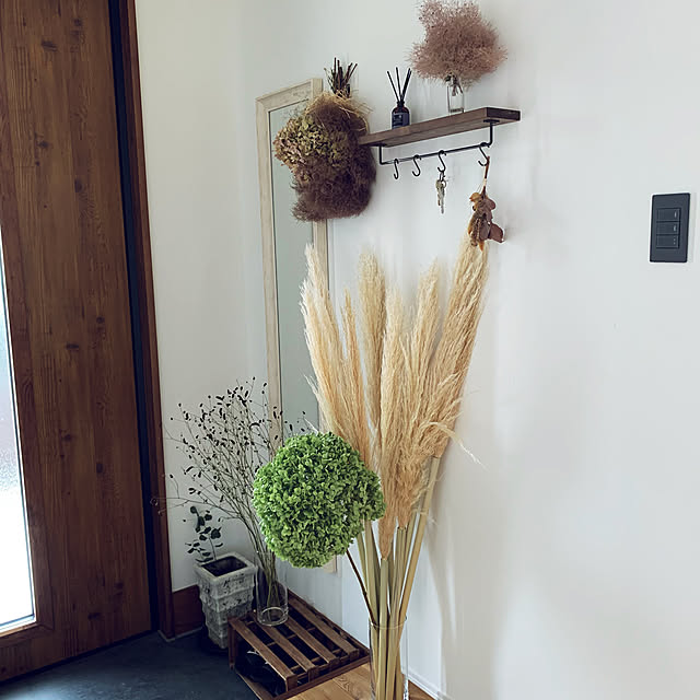 chisarucanさんの実例写真