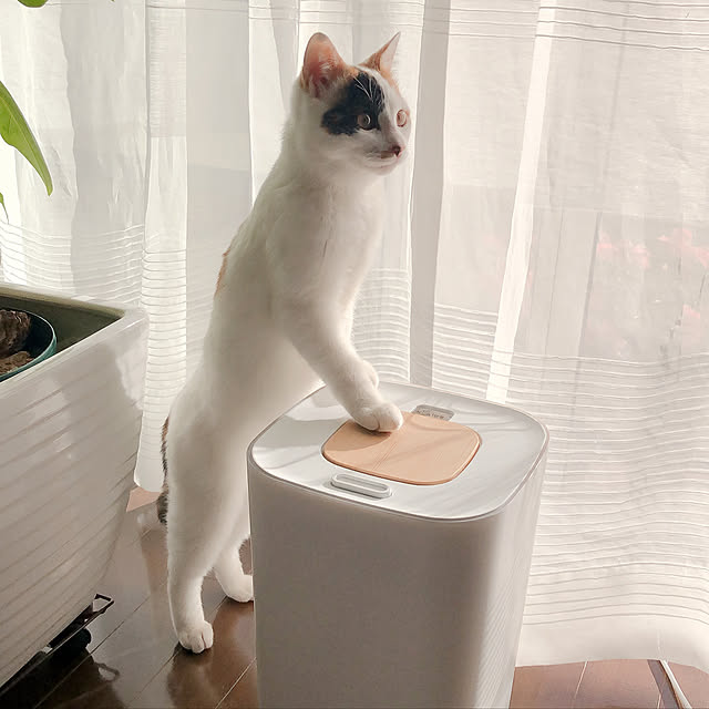 kafukaさんの実例写真