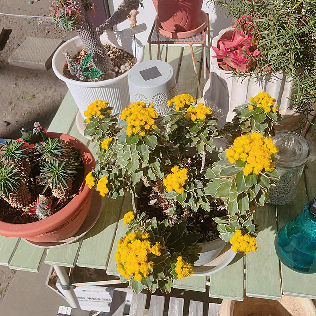 Malamaさんの実例写真