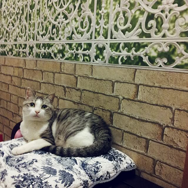emmyyさんの実例写真