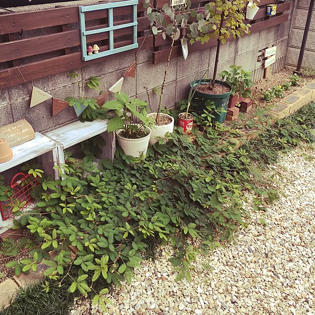 ymさんの実例写真