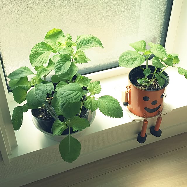 tomさんの実例写真