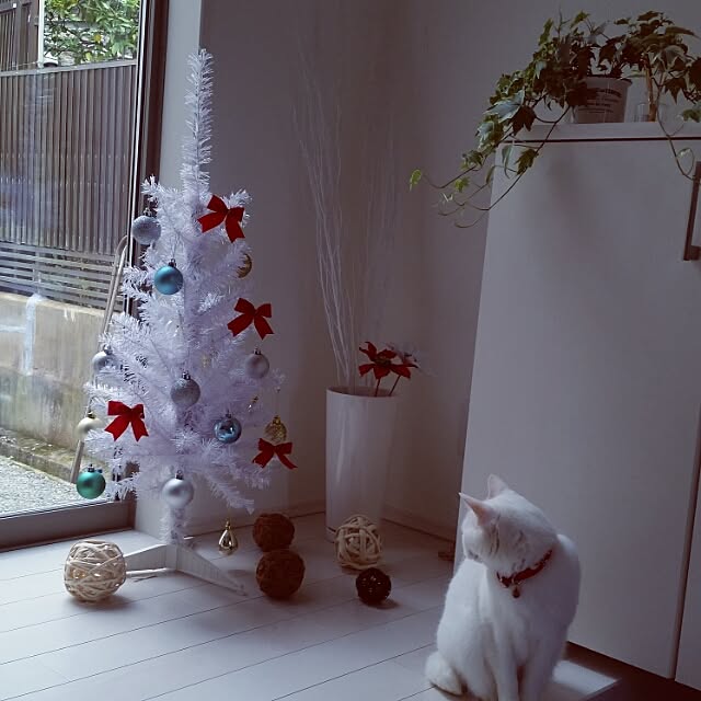 pirococcoさんの実例写真