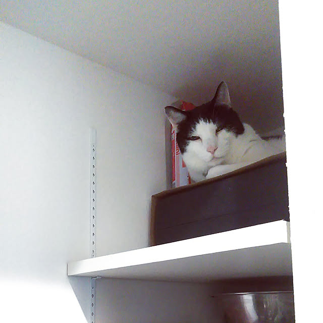 futukoさんの実例写真
