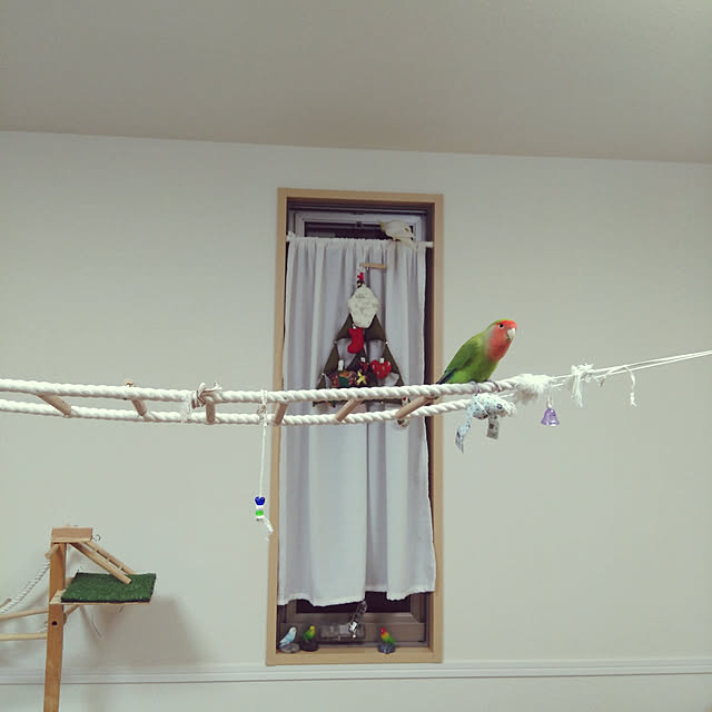 toratanさんの実例写真