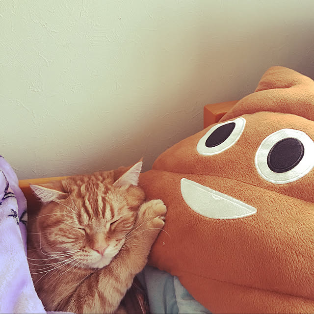 nekoさんの実例写真