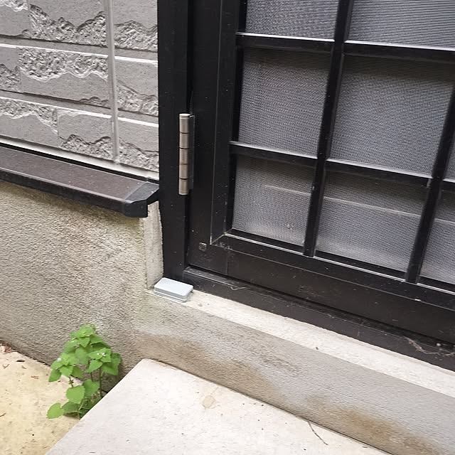 mash-room.aeさんの部屋