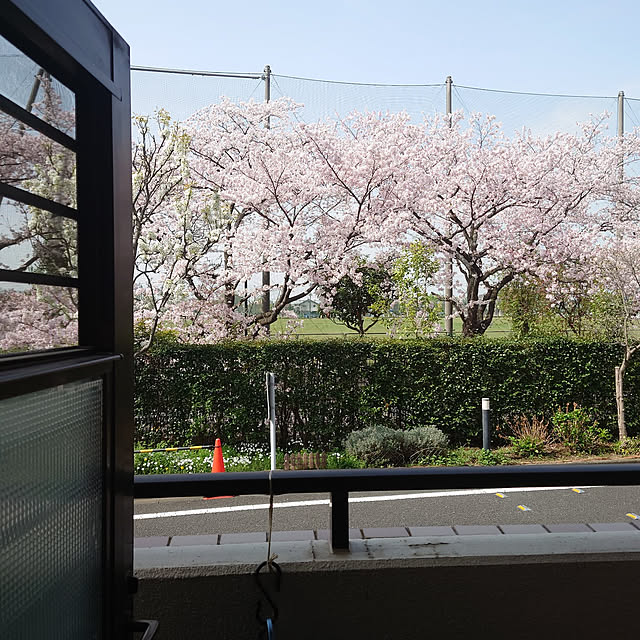 naonao1019さんの実例写真