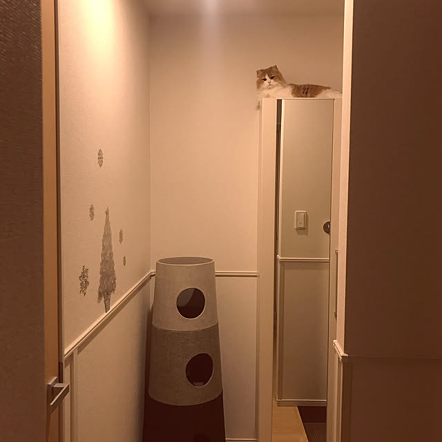H.Tさんの実例写真