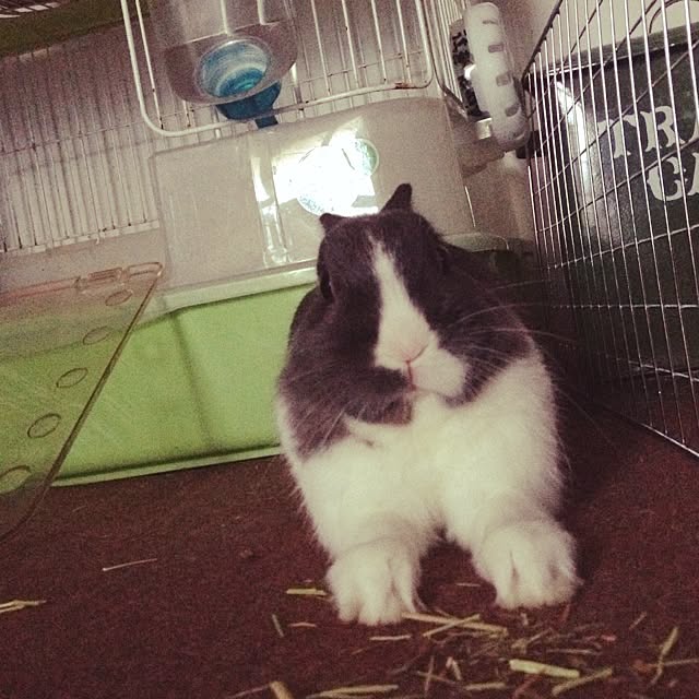 usaさんの実例写真