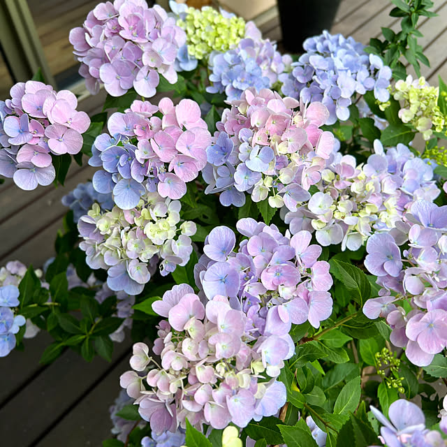 Kikko.さんの部屋