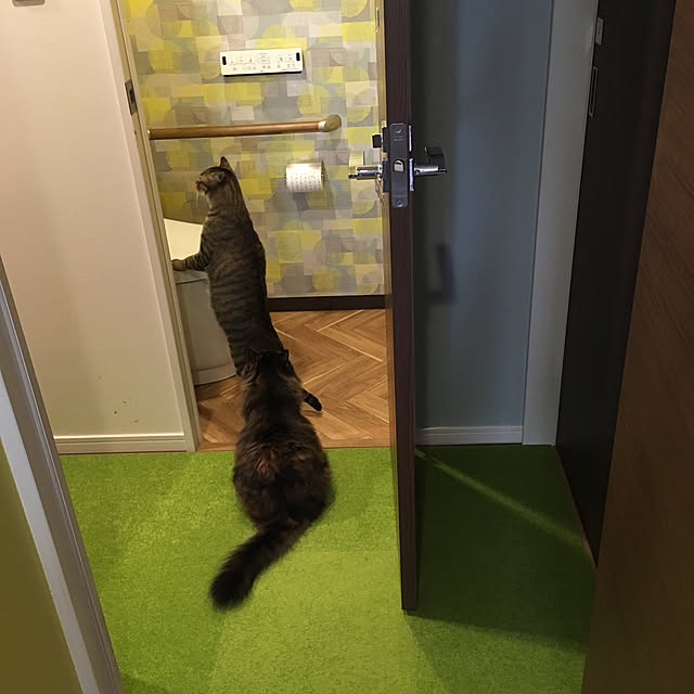 mikomaruさんの実例写真