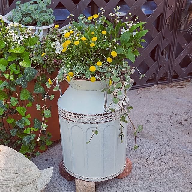 mocomocoさんの部屋