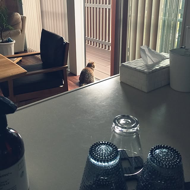 meloさんの実例写真