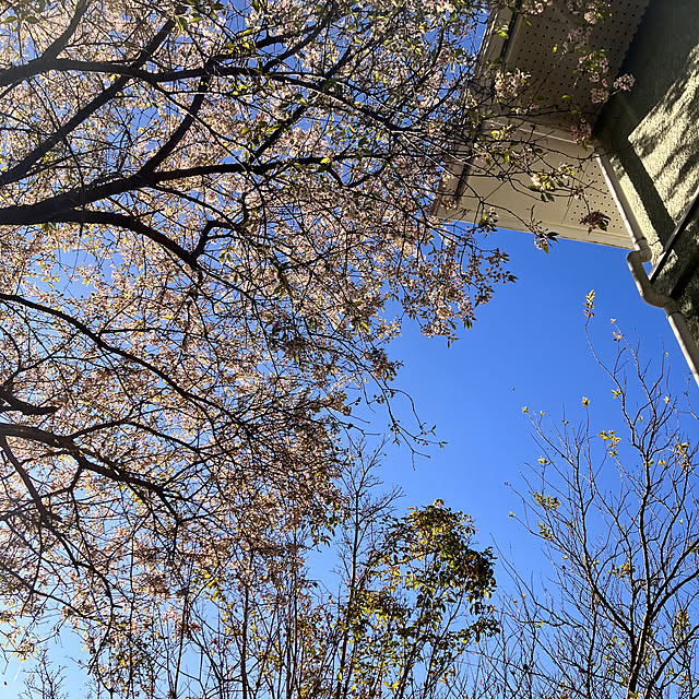 tomorinさんの部屋