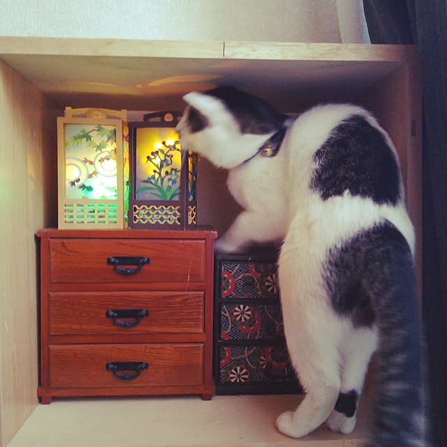 tenさんの実例写真
