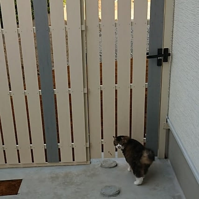 maenagiさんの実例写真