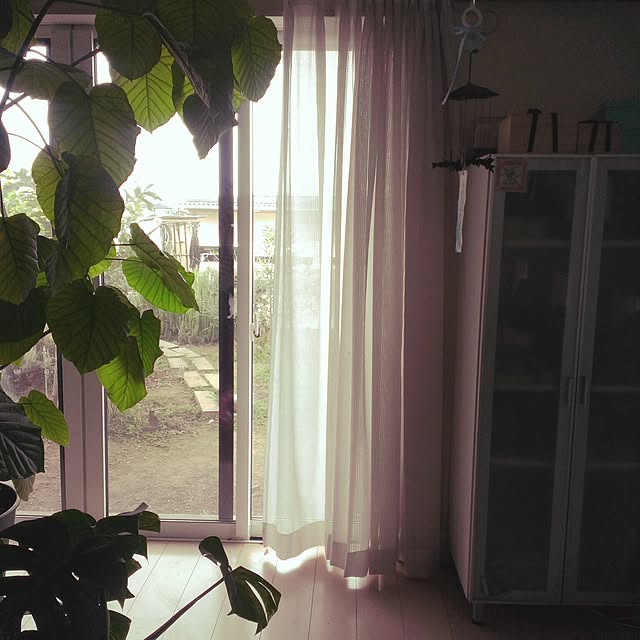 tolikaraさんの実例写真