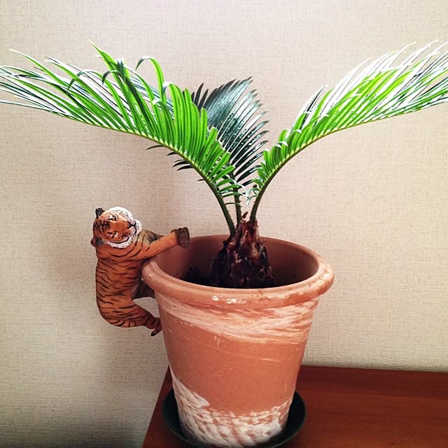 実例写真