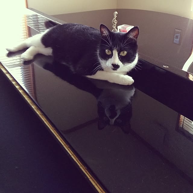 utataneさんの実例写真