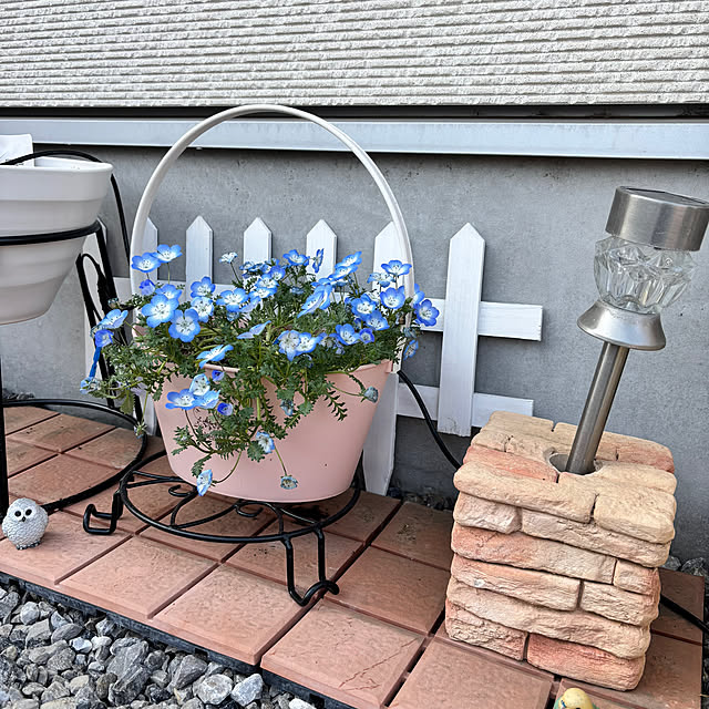 Kisakiさんの部屋