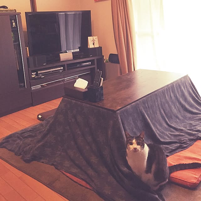 Akiさんの実例写真