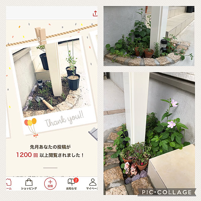yuyuさんの実例写真