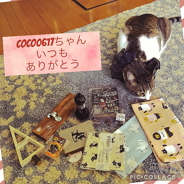 jijiさんの実例写真