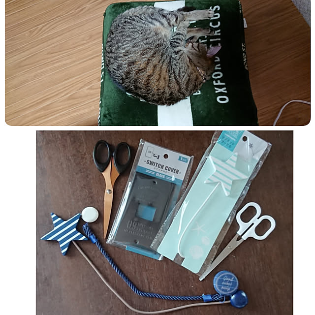 berariさんの実例写真