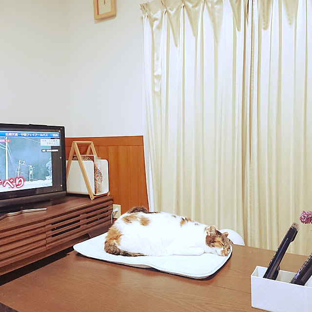 nachiさんの実例写真